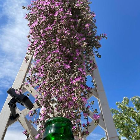 I Trulli Dei Nonni Evelin Villa Martina Franca Ngoại thất bức ảnh